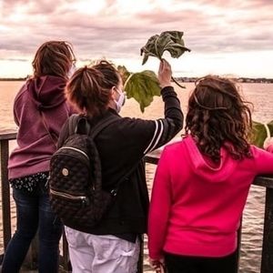 Meet your Posher, Donna